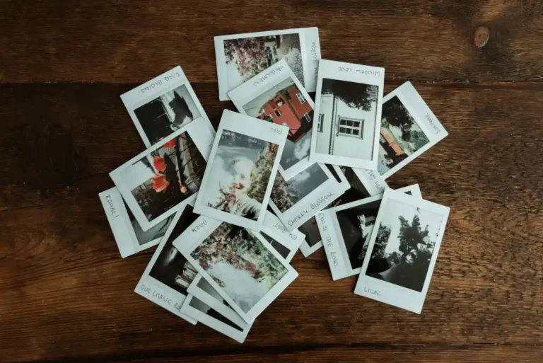 Rediscovering Nostalgia: The Timeless Legacy of Polaroid